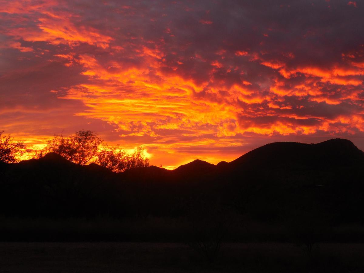 Freedom On The Go Ranch Bed & Breakfast Tubac Bagian luar foto